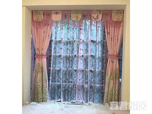 花丛蝴蝶